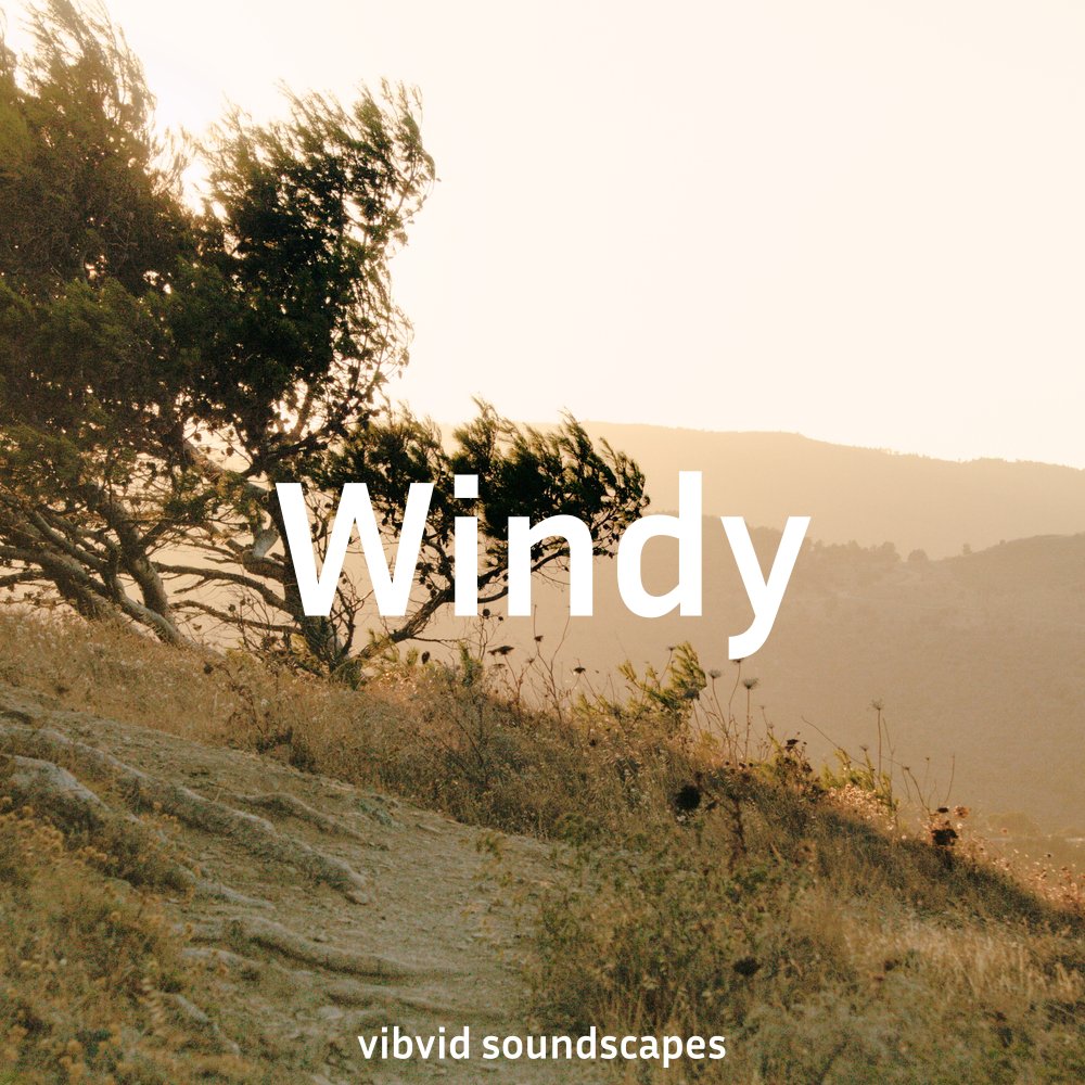 Windy Soundscape